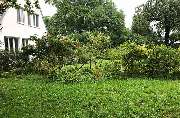 Gartengestaltung - Gartenbau Wimmer GmbH in München - Seitenansicht vor Pool | Gartenbau Wimmer GmbH in München
