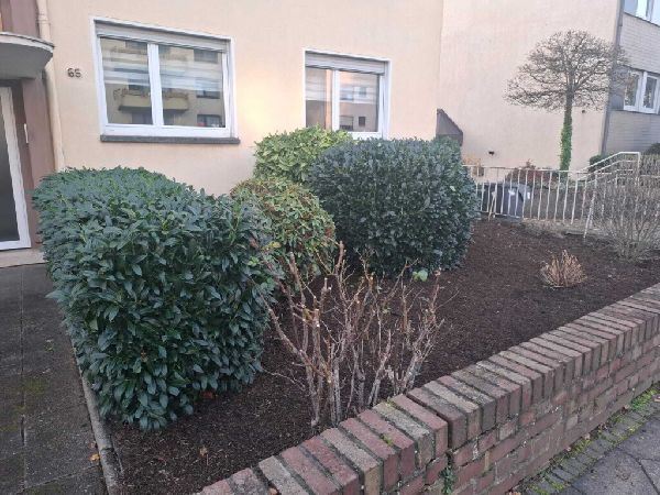 Gartengestaltung Lagaly - 1000114008.jpg