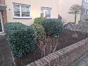 Gartengestaltung Lagaly - 1000114008.jpg