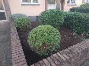 Gartengestaltung Lagaly - 1000114011.jpg