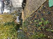 Gartengestaltung Müller UG - GALLERY