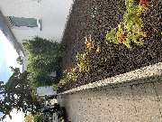 Gartengestaltung Müller UG - GALLERY