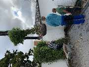 Gartengestaltung Müller UG - GALLERY