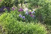 Gartengestaltung Nickerl - GALLERY