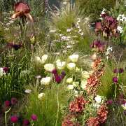 Bepflanzung des Gartens mit Gartengestaltung Soeder
