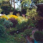 Bepflanzung des Gartens mit Gartengestaltung Soeder