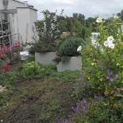 Dachbegrünung mit Gartengestaltung Soeder