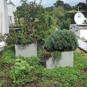 Dachbegrünung mit Gartengestaltung Soeder