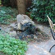 Teich anlegen im Garten mit Gartengestaltung Soeder