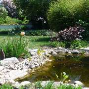 Teich anlegen im Garten mit Gartengestaltung Soeder
