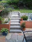 Gartengestaltung Stefan Falk - 20150625_112120.jpg