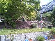 Gartengestaltung Stefan Falk - 20150625_112127.jpg
