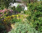 Gartengestaltung Stefan Falk - 28012004 015.jpg