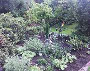 Gartengestaltung Stefan Falk - DSC00111.jpg