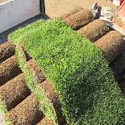 Gartengestaltung und Pflege Inh. Patrick Steen - GALLERY