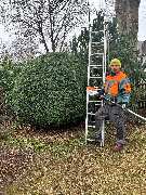 Gartengestaltung und Pflege Trudering - GALLERY