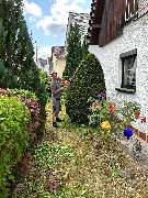 Gartengestaltung und Pflege Trudering - GALLERY