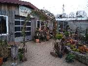 Gartenland Rabovsky e.K. - GALLERY