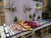 Gartenland Rabovsky e.K. - GALLERY