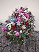 Gartenland Rabovsky e.K. - GALLERY