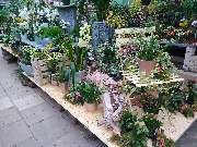 Gartenland Rabovsky e.K. - GALLERY