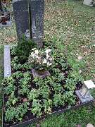 Gartenland Rabovsky e.K. - GALLERY