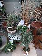 Gartenland Rabovsky e.K. - GALLERY