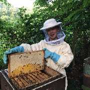 Gartenmarkt Meisenbach - GALLERY