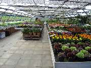 Gartenmarkt Meisenbach - GALLERY