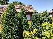 Gartenpflege Anita Stapper - GALLERY