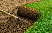 Gartenpflege & Gartenbau Langenhagen UG - GALLERY