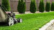 Gartenpflege & Gartenbau Langenhagen UG - GALLERY