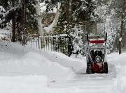 Gartenpflege & Gartenbau Langenhagen UG - GALLERY