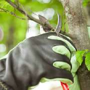 Gartenpflege & Gartenbau Langenhagen UG - GALLERY