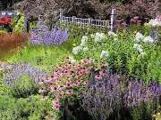 Gartenpflege & Gartenbau Langenhagen UG - GALLERY