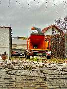 Gartenpflege Gottschalk - GALLERY
