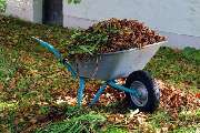 Gartenpflege Gottschalk - GALLERY