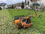 Gartenpflege & Landschaftspflege Sommer - GALLERY