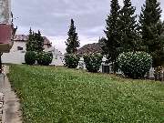 Gartenpflege & Landschaftspflege Sommer - GALLERY