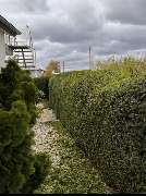 Gartenpflege Schumacher – Gärtner & Gartenservice Wachberg - GALLERY