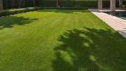 Gartenpflege Schumacher - GALLERY