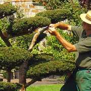 Bild von Gartenpflege u. Hausmeisterservice - Hartmut Seidel in Bietigheim-Bissingen - 2
