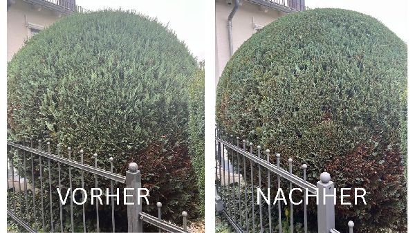 Gartenpflege Venohr - GALLERY