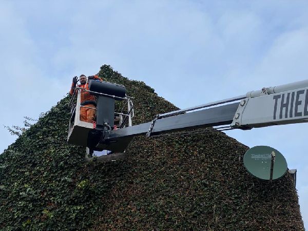 Gartenpflege Wiesmann - 6