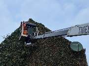 Gartenpflege Wiesmann - 6