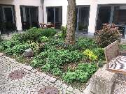 Gartenprofi Christian Kieweg, Gestaltung & Gartenpflege - IMG_2765.JPG