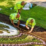 Gartenprofi Elegant - GALLERY