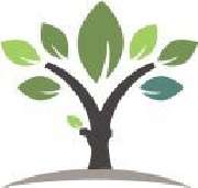 Gartenservice Braun - 1