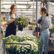 Gartenservice Geister - 2