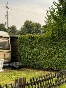 Gartenservice Hahn - GALLERY